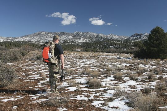 Since javelina don’t weigh much, packing out a dead one is no great chore.